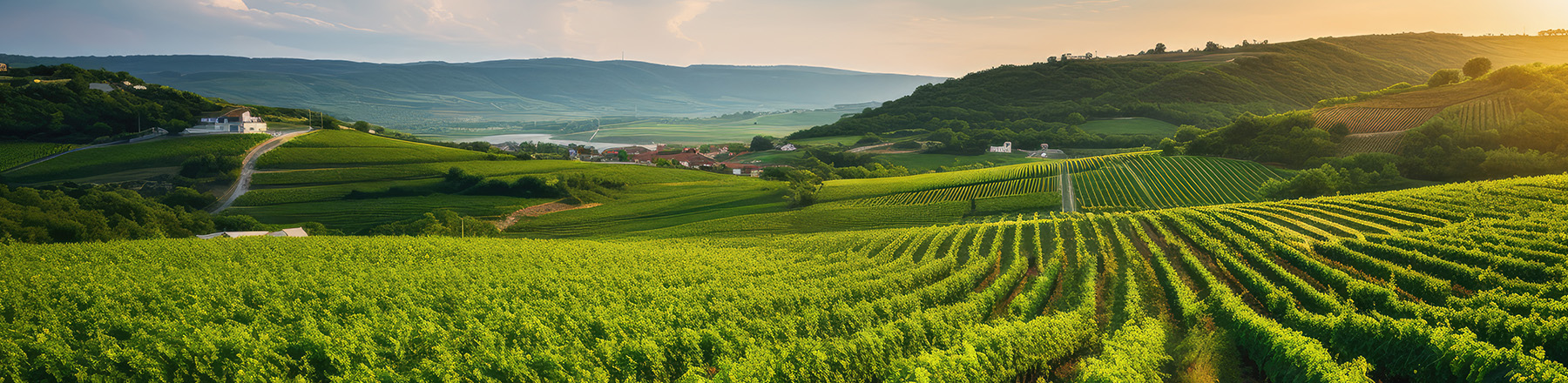 Stratégie climat