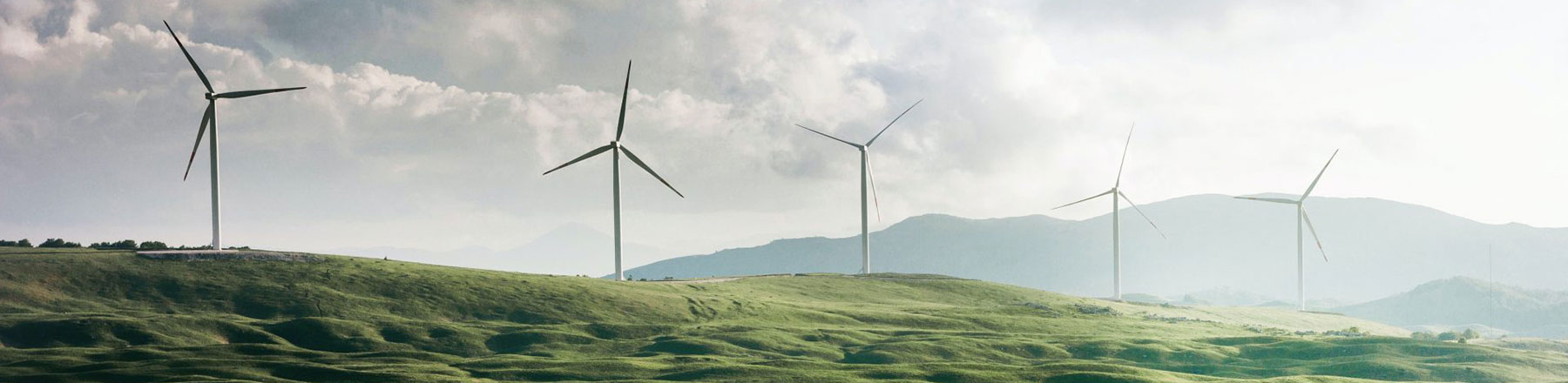 electricite-verte-quand-les-pure-players